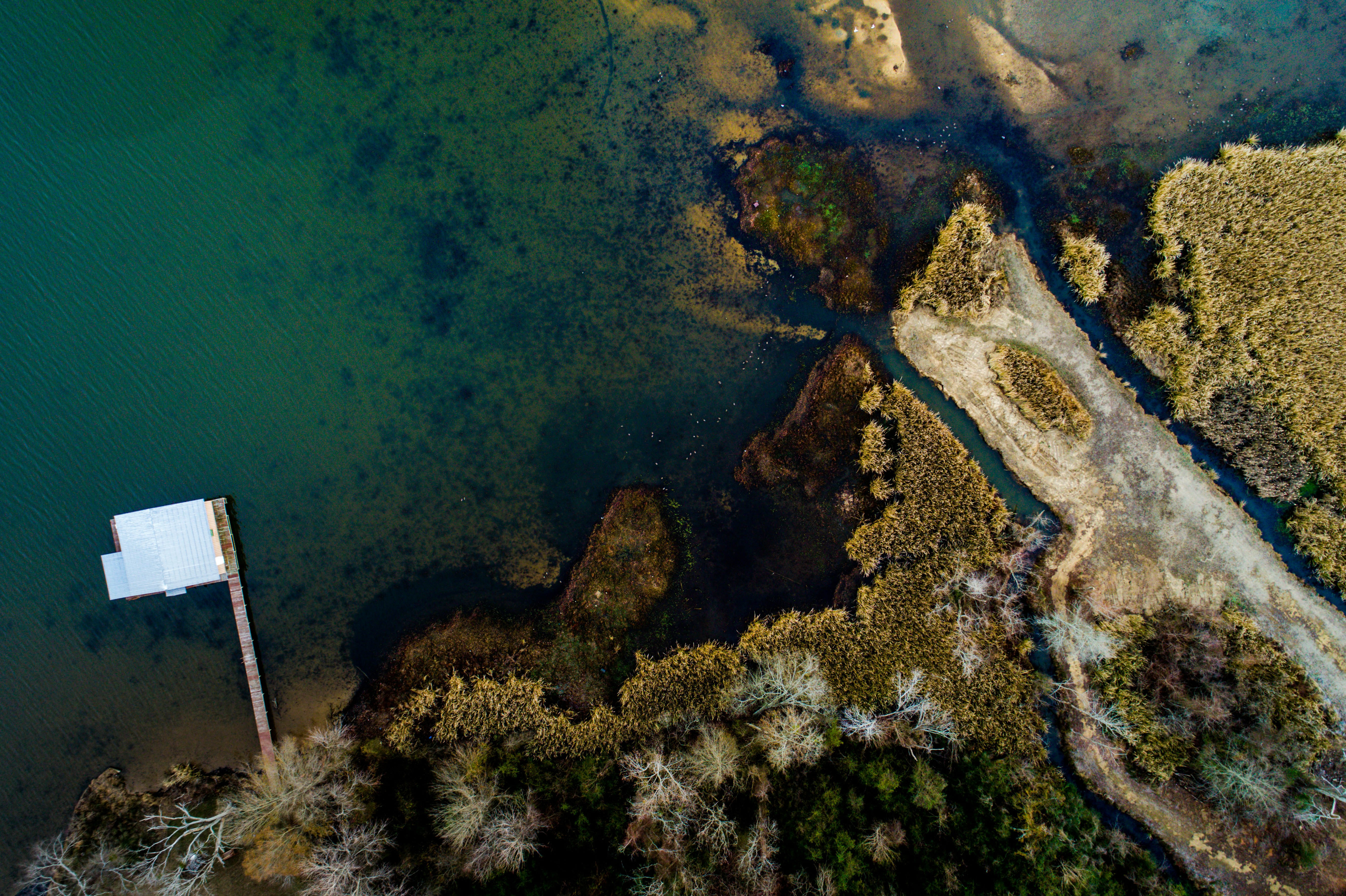 aerial photography of body of water